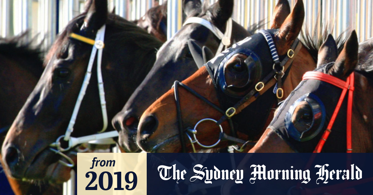 WAGGA RACE 3 FORM GUIDE visual data 7